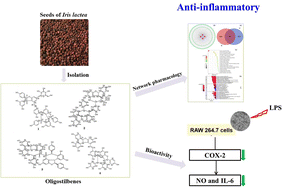 Graphical abstract: Isolation of oligostilbenes from Iris lactea Pall. var. chinensis (Fisch.) Koidz and their anti-inflammatory activities