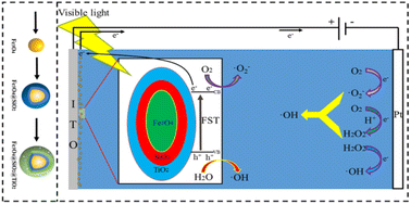 Graphical abstract: Visible-light photoelectrocatalysis/H2O2 synergistic degradation of organic pollutants by a magnetic Fe3O4@SiO2@mesoporous TiO2 catalyst-loaded photoelectrode