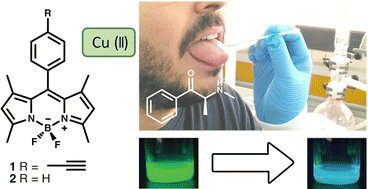 Graphical abstract: Colorimetric and fluorescent detection of synthetic cathinones in oral fluid with meso-aryl BODIPYs and Cu(ii)
