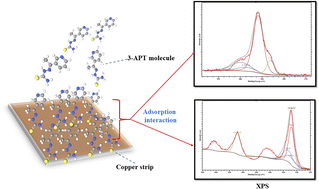 Graphical abstract: Gravimetric and electrochemical statistical optimizations for improving copper corrosion resistance in hydrochloric acid using thiosemicarbazone-linked 3-acetylpyridine