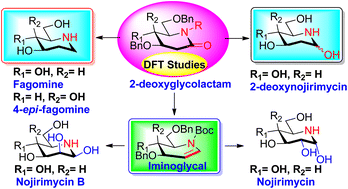 Graphical abstract: Glycal mediated synthesis of piperidine alkaloids: fagomine, 4-epi-fagomine, 2-deoxynojirimycin, and an advanced intermediate, iminoglycal