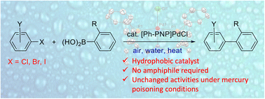 Graphical abstract: Aqueous Suzuki couplings mediated by a hydrophobic catalyst