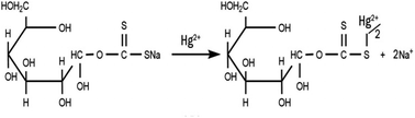 Graphical abstract: Comparative study of Hg(ii) biosorption performance of xanthated and charred sugarcane bagasse from aqueous solutions