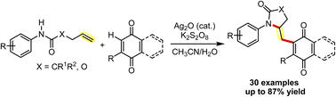 Graphical abstract: Silver-catalyzed cascade cyclization and functionalization of N-aryl-4-pentenamides: an efficient route to γ-lactam-substituted quinone derivatives