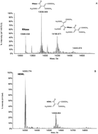 Graphical abstract: Reactions of proteins with a few organopalladium compounds of medicinal interest