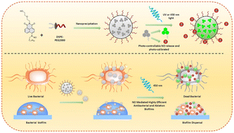 Graphical abstract: Photo-controlled and photo-calibrated nanoparticle enabled nitric oxide release for anti-bacterial and anti-biofilm applications