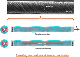 Graphical abstract: Mechanical and thermal properties of carbon nanotubes in carbon nanotube fibers under tension–torsion loading