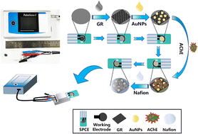 Graphical abstract: A portable acetylcholinesterase-based electrochemical sensor for field detection of organophosphorus