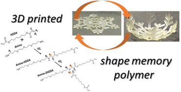 Graphical abstract: Combined aza-Michael and radical photopolymerization reactions for enhanced mechanical properties of 3D printed shape memory polymers