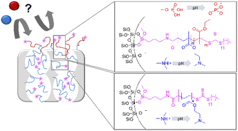 Graphical abstract: Visible light induced RAFT for asymmetric functionalization of silica mesopores