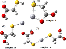 Graphical abstract: Covalently linked mercaptoacetic acid on ZrO2 coupled cellulose nanofibers for solid phase extraction of Hg(ii): experimental and DFT studies