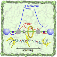 Graphical abstract: Solvent effects on the motion of a crown ether/amino rotaxane