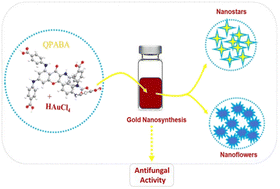 Graphical abstract: Ligand effect on controlling the synthesis of branched gold nanomaterials against fusarium wilt diseases