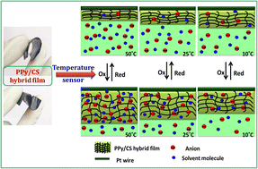 Graphical abstract: Flexible hybrid film of polypyrrole incorporated chitosan as a biomimetic multistep electrochemical sensor of working temperature: a potentiodynamic study