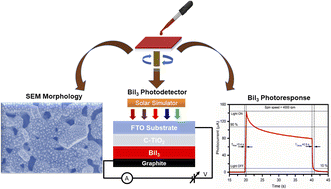 Graphical abstract: Self-biased photodetector using 2D layered bismuth triiodide (BiI3) prepared using the spin coating method