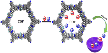 Graphical abstract: Fluorinated covalent organic frameworks for efficient drug delivery