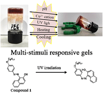 Graphical abstract: Multi-response gelation based on the molecular assembly of Sudan I dye derivatives for phase selective gelators and chemosensors