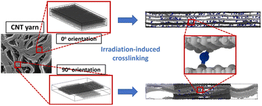 Graphical abstract: Computational study of effect of radiation induced crosslinking on the properties of flattened carbon nanotubes