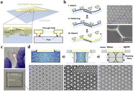 Graphical abstract: Performance characterization of transparent and conductive grids one-step-printed on curved substrates using template-guided foaming