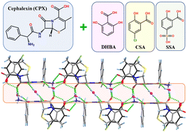 Graphical abstract: Novel pharmaceutical salts of cephalexin with organic counterions: structural analysis and properties