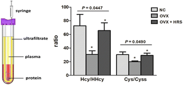 Graphical abstract: A more accurate indicator to evaluate oxidative stress in rat plasma with osteoporosis