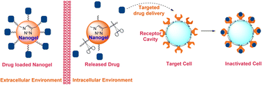 Graphical abstract: CuAAC ensembled 1,2,3-triazole linked nanogels for targeted drug delivery: a review