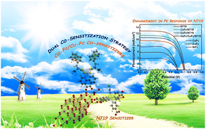 Graphical abstract: A double co-sensitization strategy using heteroleptic transition metal ferrocenyl dithiocarbamate phenanthrolene-dione for enhancing the performance of N719-based DSSCs