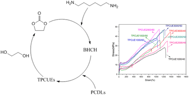 Graphical abstract: Synthesis and properties of high performance thermoplastic polycarbonate polyurethane elastomers through a non-isocyanate route