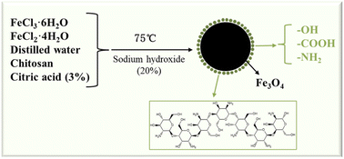 Graphical abstract: Preparation and performance study of a reactive polyurethane hot-melt adhesive/CS–Fe3O4 magnetic nanocomposite film/fabric