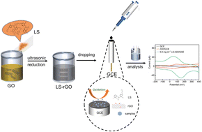 Graphical abstract: Lignosulfonate in situ-modified reduced graphene oxide biosensors for the electrochemical detection of dopamine