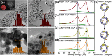 Graphical abstract: Investigation of multiple commercial electrocatalysts and electrocatalyst degradation for fuel cells in real vehicles
