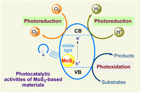 Graphical abstract: Molybdenum disulfide (MoS2) based photoredox catalysis in chemical transformations