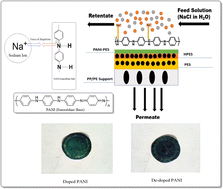 Graphical abstract: Novel polyaniline–polyethersulfone nanofiltration membranes: effect of in situ polymerization time on structure and desalination performance