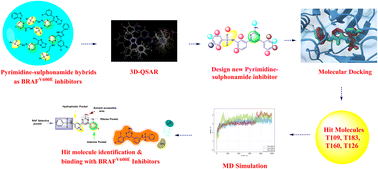 Graphical abstract: Gaussian field-based 3D-QSAR and molecular simulation studies to design potent pyrimidine–sulfonamide hybrids as selective BRAFV600E inhibitors
