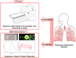 Graphical abstract: Detection of respiratory inflammation biomarkers in non-processed exhaled breath condensate samples using reduced graphene oxide