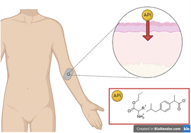 Graphical abstract: New amino acid propyl ester ibuprofenates from synthesis to use in drug delivery systems