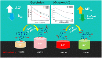 Graphical abstract: Computational insight into a mechanistic overview of water exchange kinetics and thermodynamic stabilities of bis and tris-aquated complexes of lanthanides