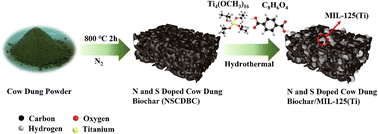 Graphical abstract: MOF-derived biochar composites for enhanced high performance photocatalytic degradation of tetracycline hydrochloride