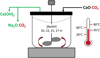 Graphical abstract: Synthesis of Ca(OH)2 and Na2CO3 through anion exchange between CaCO3 and NaOH: effect of reaction temperature