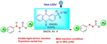 Graphical abstract: Visible-light-driven SAQS-catalyzed aerobic oxidative dehydrogenation of alkyl 2-phenylhydrazinecarboxylates