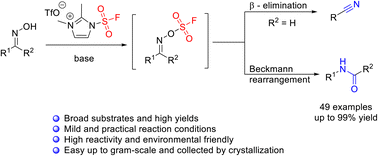 Graphical abstract: The stable “F–SO2+” donor provides a mild and efficient approach to nitriles and amides