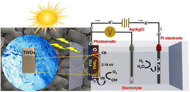 Graphical abstract: Fabrication of TiVO4 photoelectrode for photoelectrochemical application