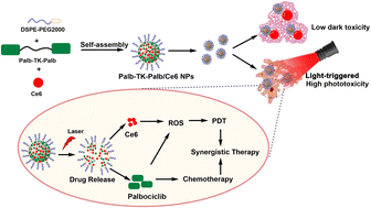 Graphical abstract: Carrier-free nanomedicines self-assembled from palbociclib dimers and Ce6 for enhanced combined chemo-photodynamic therapy of breast cancer