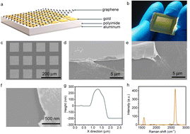 Graphical abstract: Defect-rich graphene-coated metamaterial device for pesticide sensing in rice