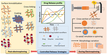 Graphical abstract: Electrospun nanofibres in drug delivery: advances in controlled release strategies