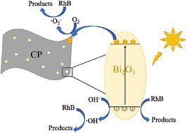 Graphical abstract: Self-supporting photocatalyst of 2D Bi2O3 anchored on carbon paper for degradation pollutants