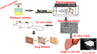 Graphical abstract: Novel electrospun fibers as carriers for delivering a biocompatible Sm(iii) nanodrug for cancer therapy: fabrication, characterization, cytotoxicity and toxicity