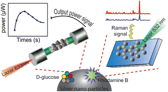 Graphical abstract: Functionalized silver nanoparticles for SERS amplification with enhanced reproducibility and for ultrasensitive optical fiber sensing in environmental and biochemical assays