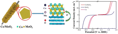 Graphical abstract: MoO2 nanosheets anchored with Co nanoparticles as a bifunctional electrocatalytic platform for overall water splitting
