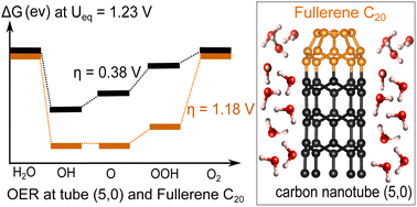 Graphical abstract: Ab initio insight into the electrolysis of water on basal and edge (fullerene C20) surfaces of 4 Å single-walled carbon nanotubes